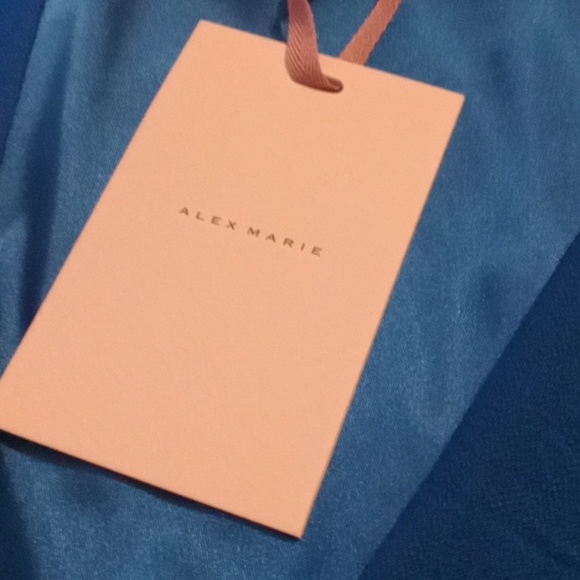 Anne Klein Lapis Blue V-neck Wrap Dress 3/4 Sleeve Size 18 - Picture 8 of 9